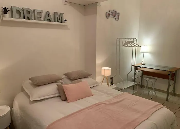 Charmant T2 Proche Centre Ville Plage Jardin Dior 50 M2