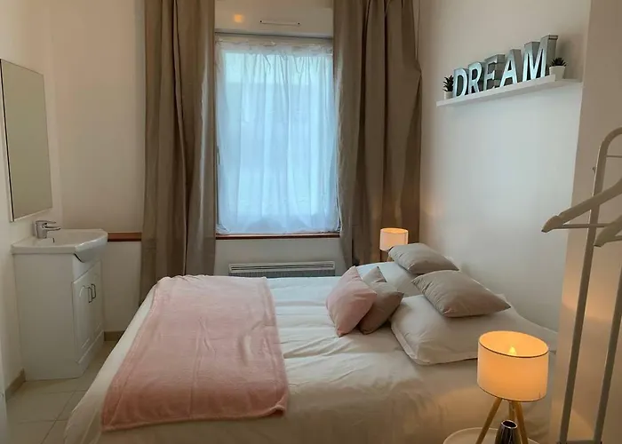 CHARMANT T2 PROCHE CENTRE VILLE PLAGE JARDIN DIOR 50 m2