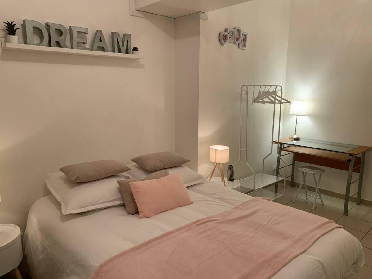 T2 Proche Centre Jardin Dior 50 M2 Apartment